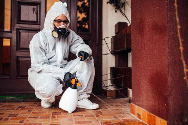 Attic and Crawl Space Rodent Treatment in South Paris